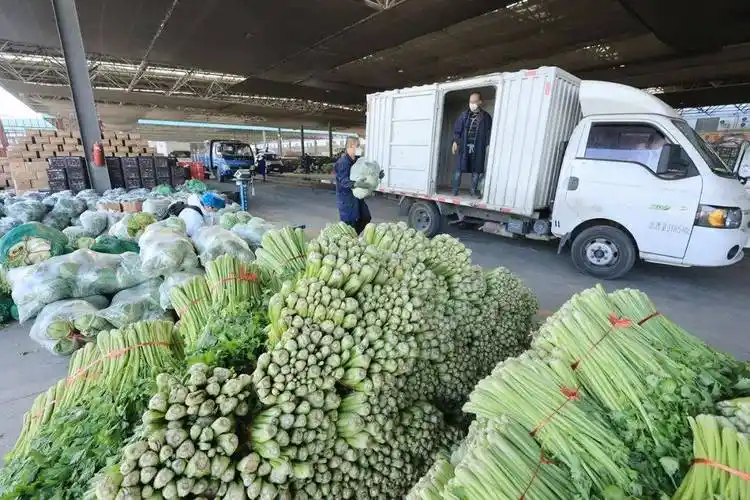 伊犁九鼎农产品批发市场累计销售配送蔬果1700余吨_蔬菜_防控_九鼎