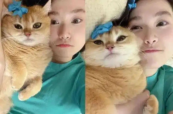 猫跟女主人越长越像超强母子脸圈粉一票网友