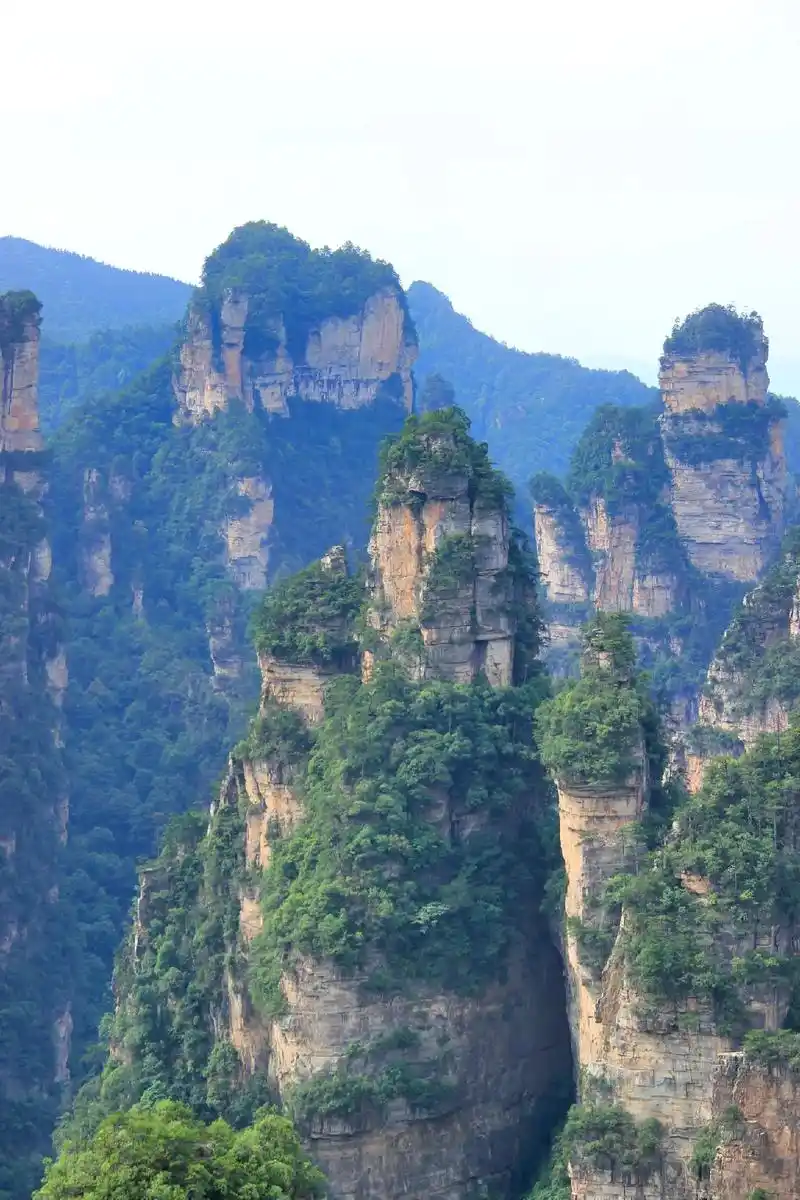 石英砂岩地貌的张家界森林公园,三千奇峰,雄险秀野,形态各异, - 抖音