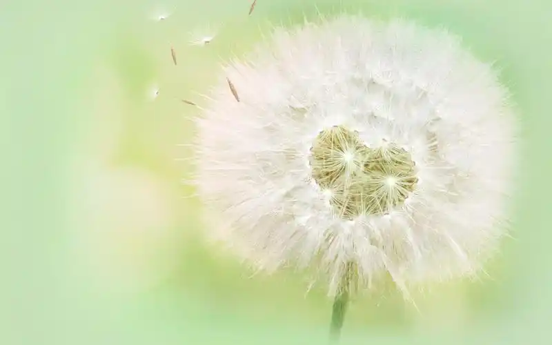 唯美风景qq背景装扮