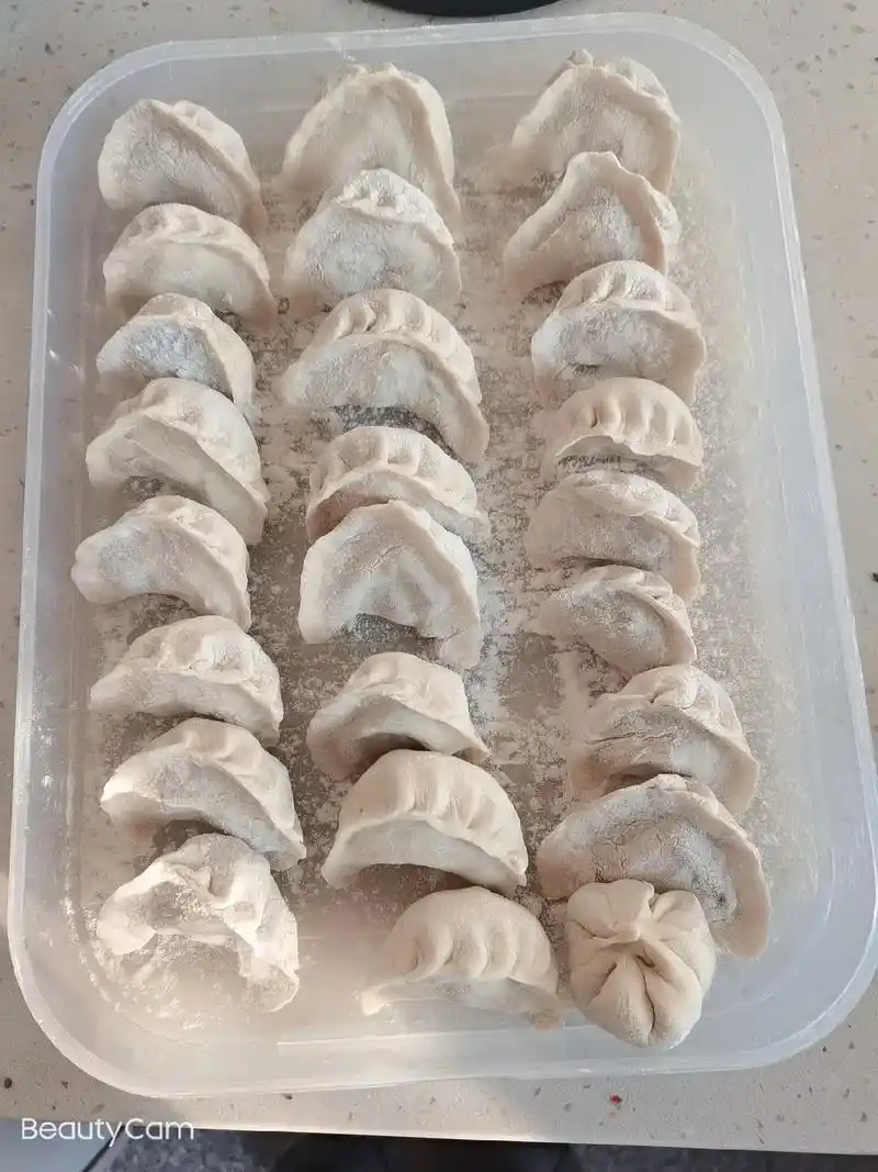 纯手工水饺,虽然不好看但是好吃 - 抖音