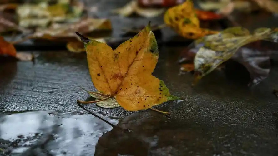 微信个性签名,句句扎心,送给一个人的你!