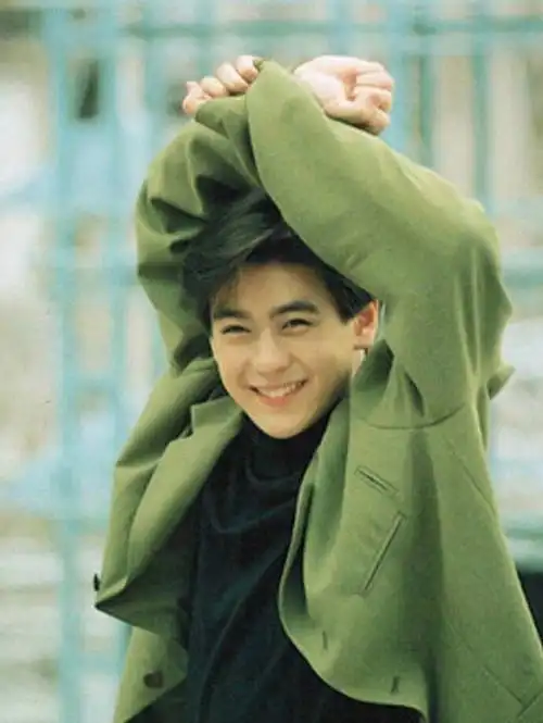 林志颖17岁就成为港台艺人里的浅池,在出现的时候,最出名的便是四大