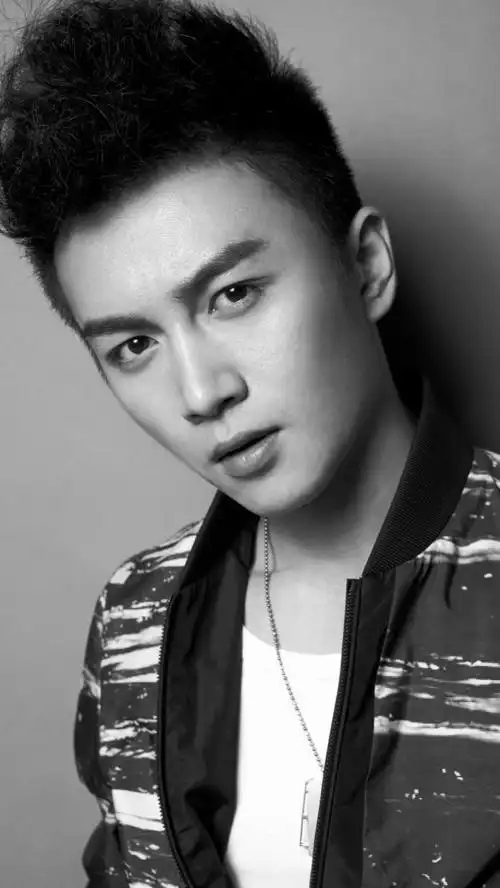 陈晓灰白写真iphone 5手机壁纸