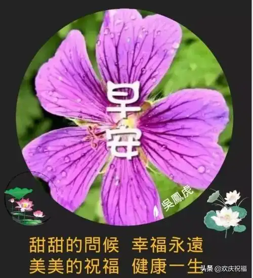 2020微信最新清晨好问候祝福语漂亮早上好祝福语图片