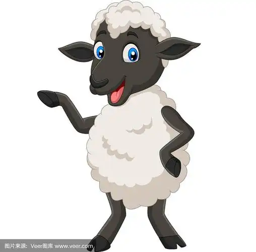 可爱的绵羊卡通孤立在白色的背景