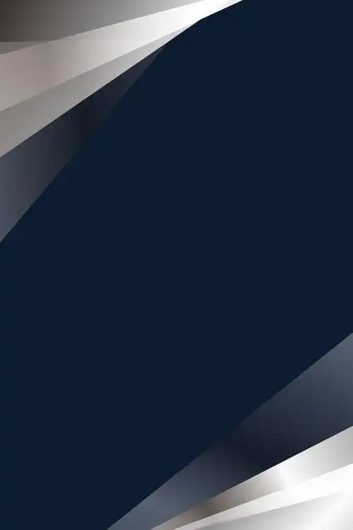 黑白水墨简约画册封面