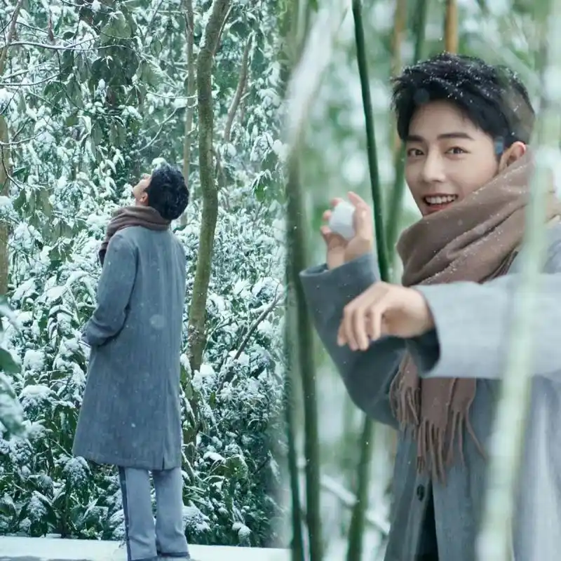 肖战 #肖战冬至竹林大片 #雪一落这里就美成了诗 无论世间 - 抖音