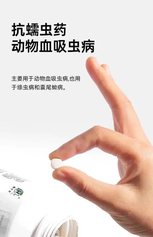 吡喹酮片猫用猫咪狗狗幼猫幼犬专用体内驱虫药宠物打虫除虫药正品