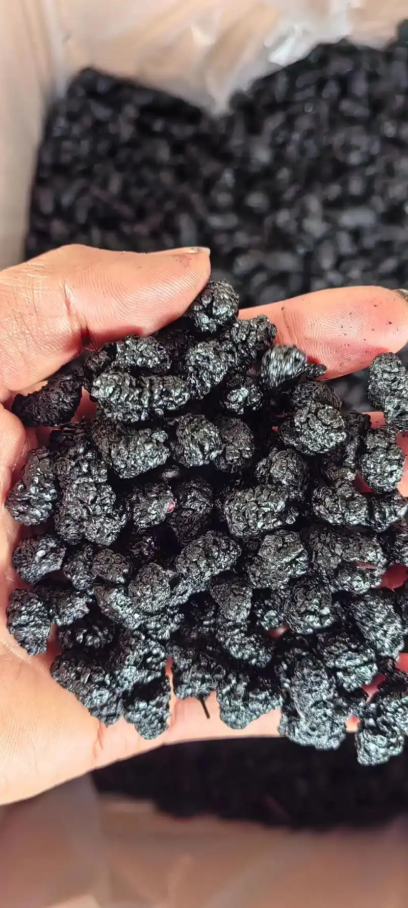 桑葚干,攀枝花产地直发,各种规格有货.#中药材 #原产地 # - 抖音