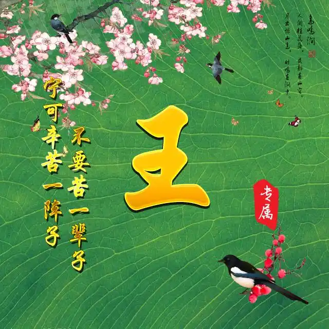 王姓专属微信头像图片,样式多样王姓的快来取了