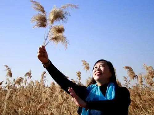 灿烂的笑容,明媚的阳光