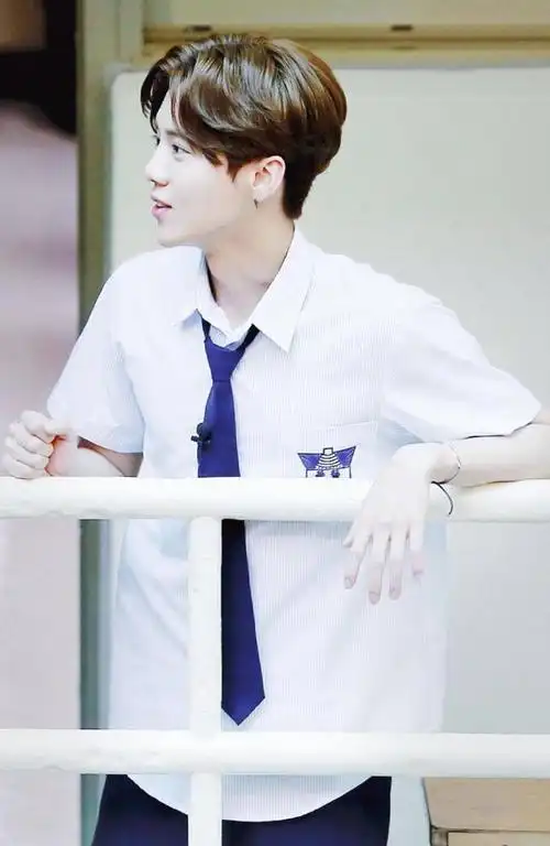 哈喽,大家好,我是小编梅子,今天梅子带你去看看鹿晗穿校服的照片.