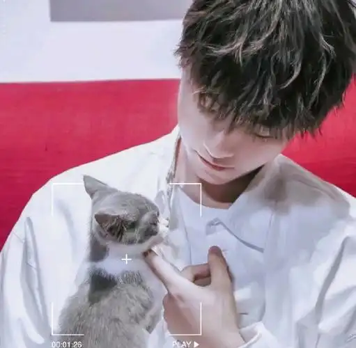 王俊凯帅头像小螃蟹快冲