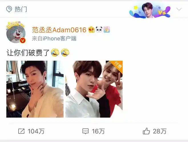 关晓彤|蔡徐坤|网络暴力_新浪新闻