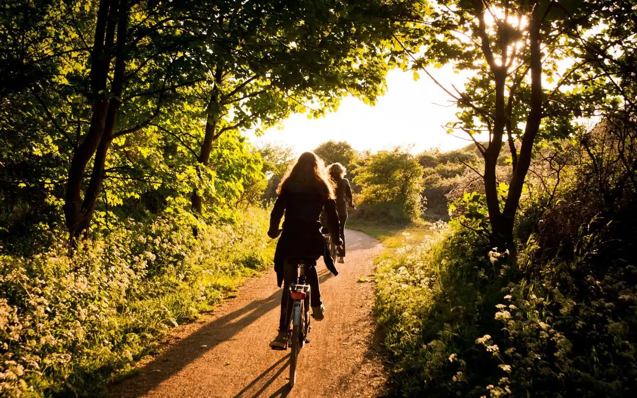 骑着单车去旅行高清唯美电脑桌面壁纸高清大图预览1920x1080_风格壁纸