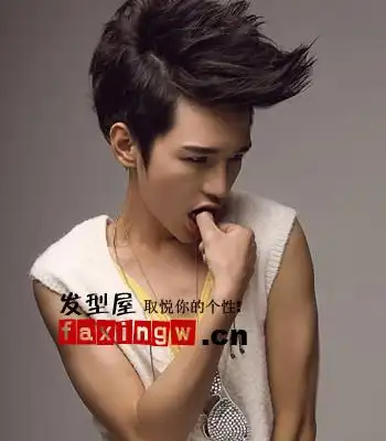 这是 很流行的发型    飞机头 哈哈 不过lz 飞机头有很多种 英式的