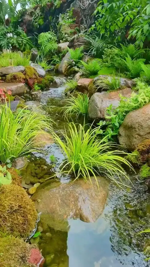 这不是野外,这是自然风庭院溪流驳岸造景!
