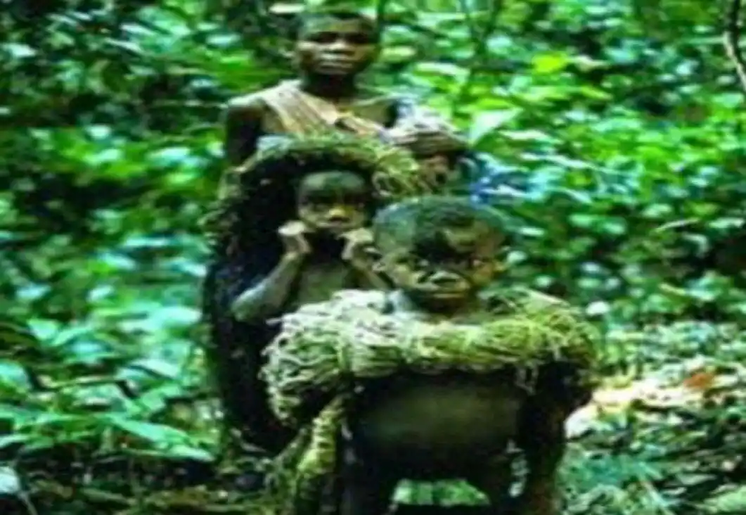 还有蓝种人,绿种人