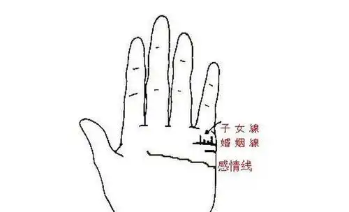 手相解析子女线