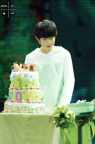 151108 王源生日会