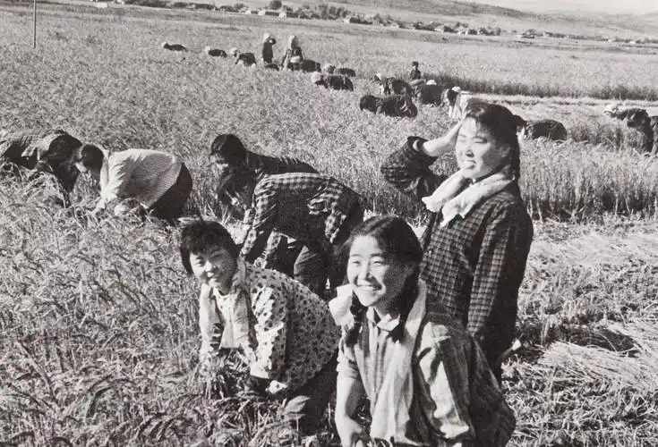 70年代记忆(21)-怀旧图片欣赏