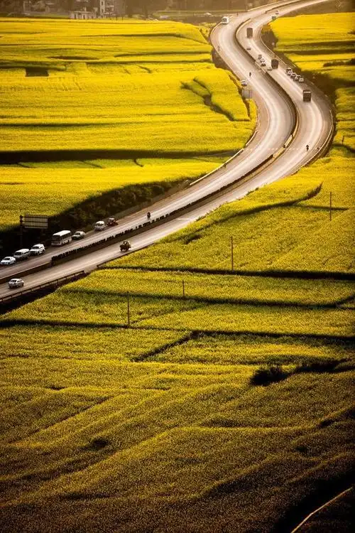 如何让平凡的你拍出的照片赶上的摄影师水平之构图篇