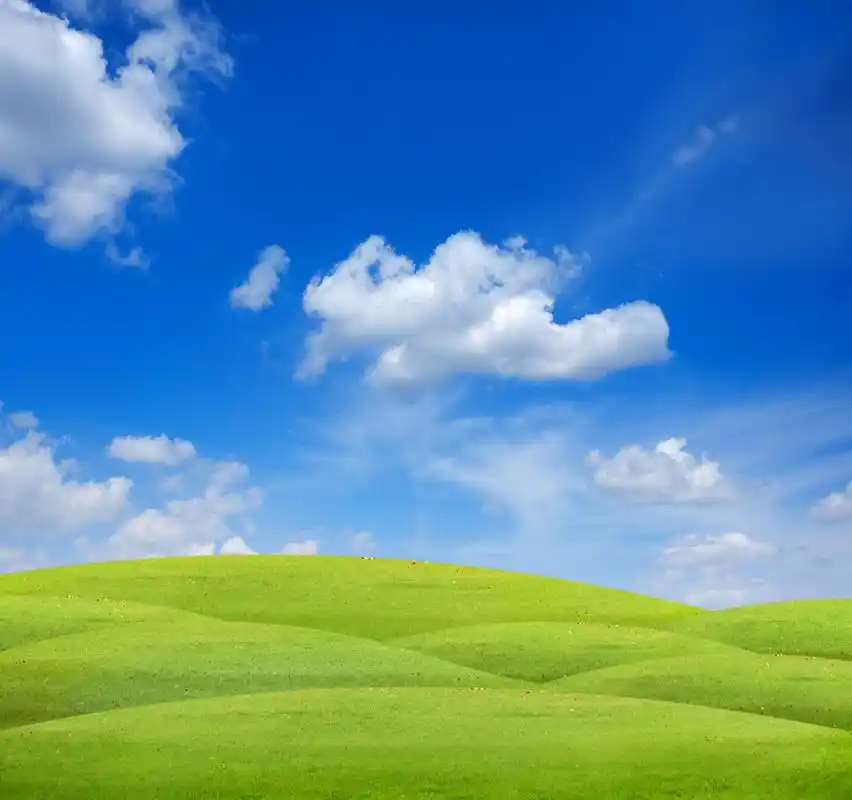 蓝天绿地,蓝天绿地