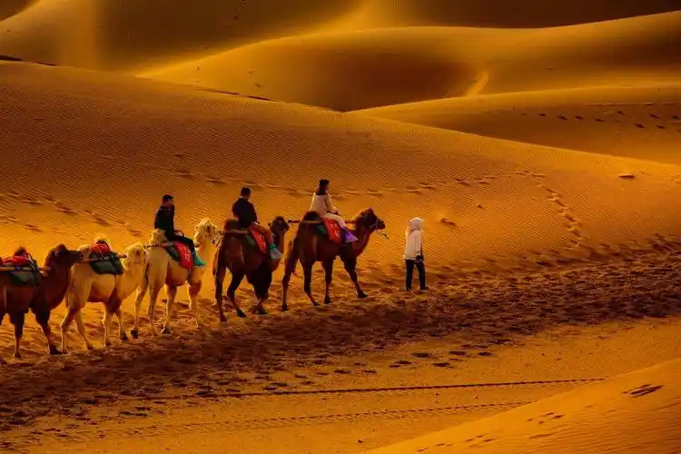 腾格里沙漠_高清图集_新浪网