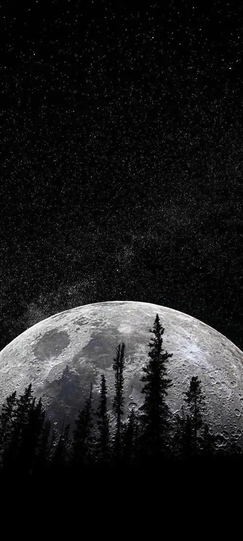 唯美黑底意境图片