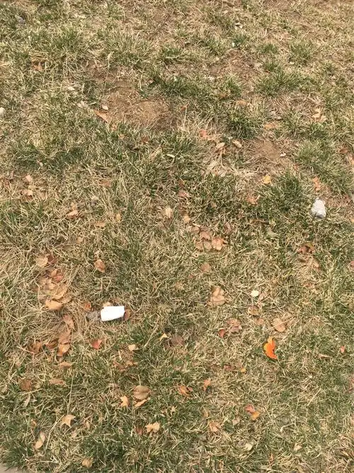 丢在草坪的纸屑,果皮