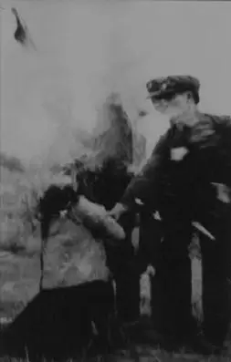 的下层军官,一个是副连长,一个是排长;他们在台湾反攻大陆的叫嚣声中