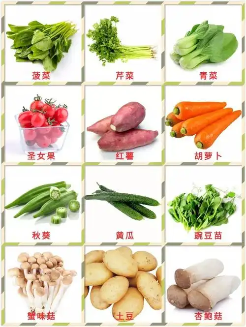 百草源98元抢超值蔬菜大礼包种类丰富多种搭配天然原生态新鲜直达精挑