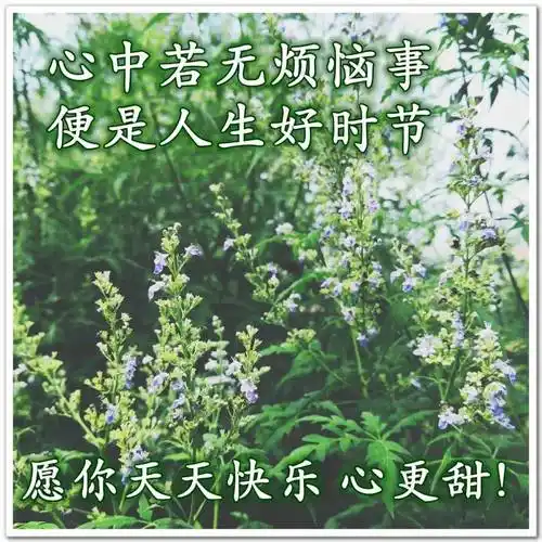 原创7张清新漂亮早上好祝福图片带字精选好看的秋日风景早安问候祝福