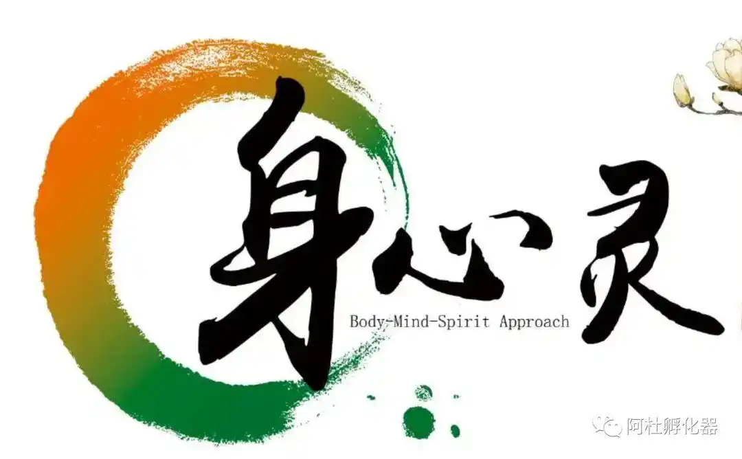 用户思维阿杜:身心灵行业如何打造行业爆品