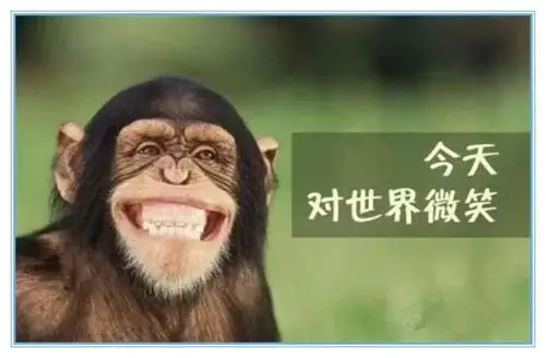 你微笑时,很有魅力