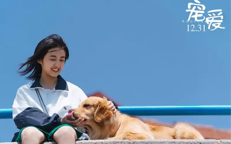 【张子枫】【张子枫后援会】电影《宠爱》抖音张子枫相关物料合集