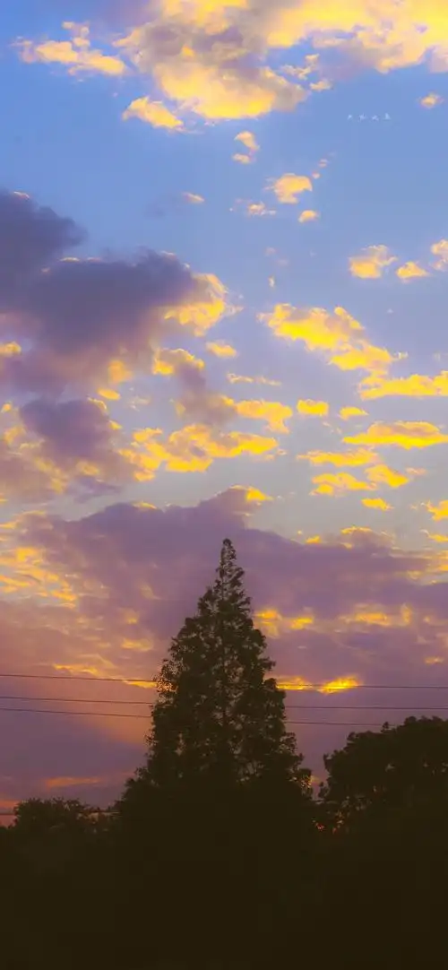 2021最潮手机壁纸最流行好看的女生iphone锁屏壁纸高清