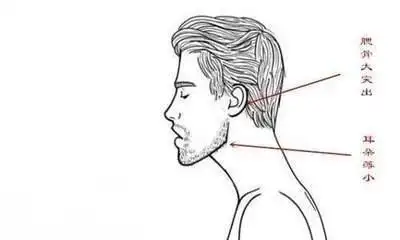 反骨长在哪里,有反骨的人面相如何?