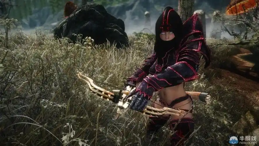 上古卷轴5天际各类型美女随从mod合集