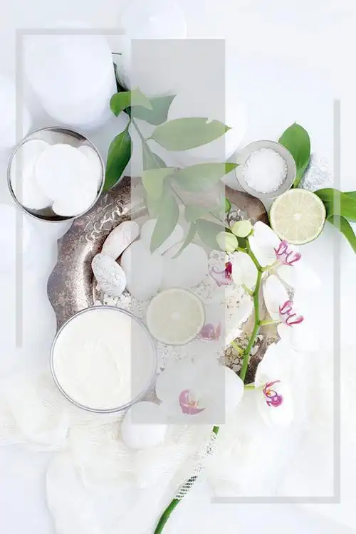 简约文艺草本化妆品海报背景素材