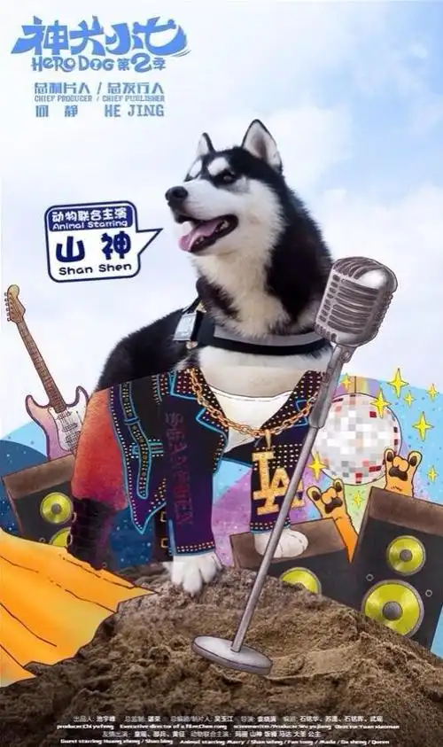 神犬小七第二季 收官啦!