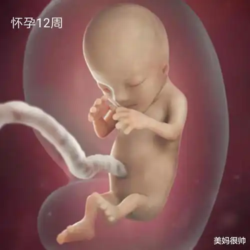 产科医生明明知道胎儿性别却不能说,会不会憋得慌?