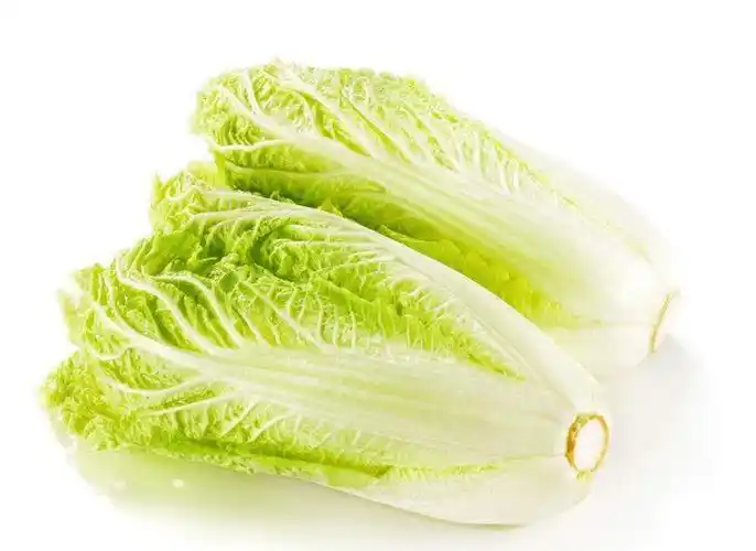 娃娃菜高清图片大图!