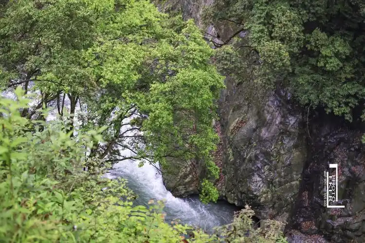 原创户外小白徒步穿越成都无人区仅仅在缓冲区就如炼狱般煎熬