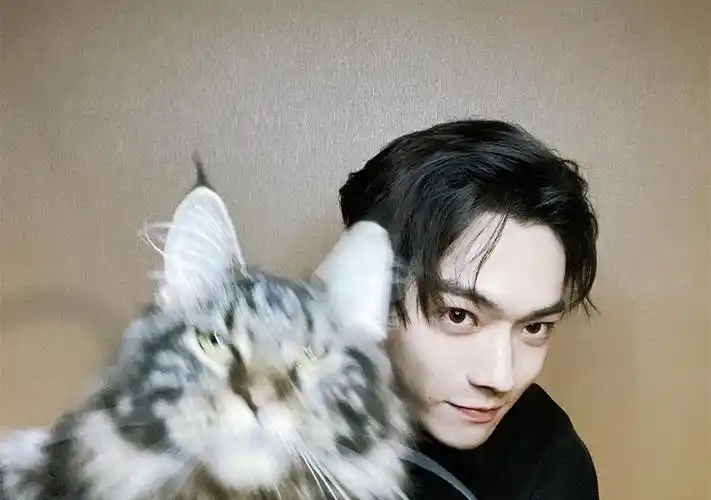 许凯撸猫营业晒多视角自拍超迷人大眼清澈