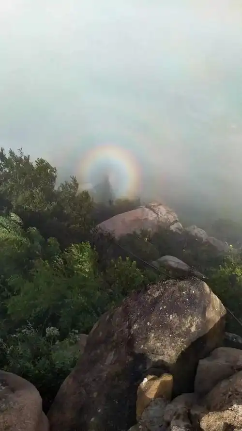昨日,泰安新泰莲花山惊现佛光云海奇景,引市民游客驻足!