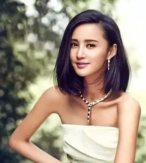 知名导演怒批前妻张歆艺:情感纠葛背后的娱乐圈真相_杨树鹏_袁弘_婚姻