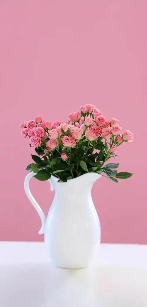 全面屏手机高清唯美壁纸