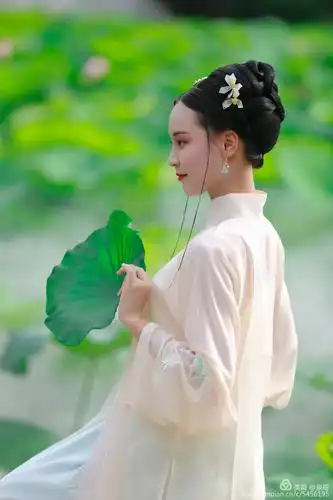 荷花仙子 - 美篇